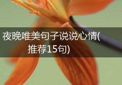 夜晚唯美句子说说心情(推荐15句)