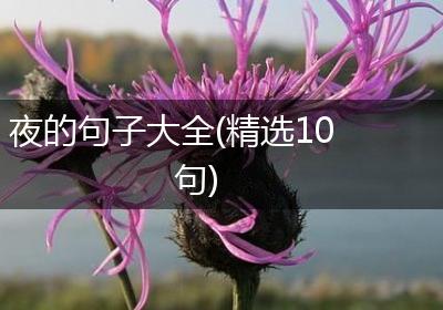 夜的句子大全(精选10句)