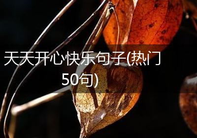 天天开心快乐句子(热门50句)