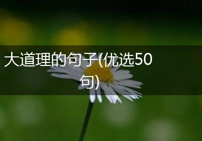 大道理的句子(优选50句)