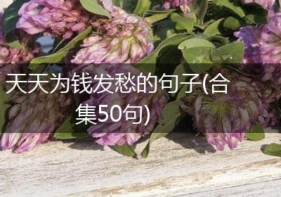 天天为钱发愁的句子(合集50句)