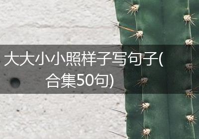 大大小小照样子写句子(合集50句)