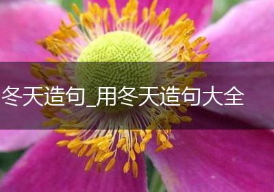 冬天造句_用冬天造句大全