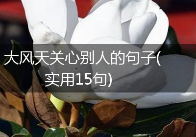 大风天关心别人的句子(实用15句)