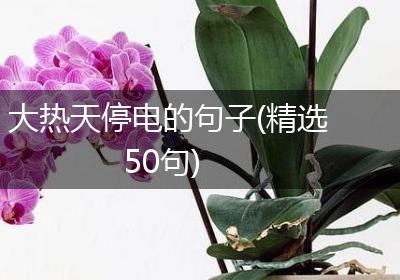 大热天停电的句子(精选50句)