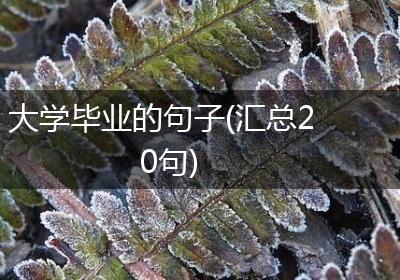 大学毕业的句子(汇总20句)