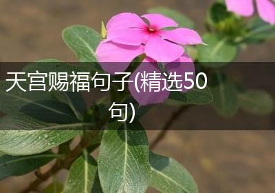 天宫赐福句子(精选50句)