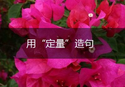 用“定量”造句