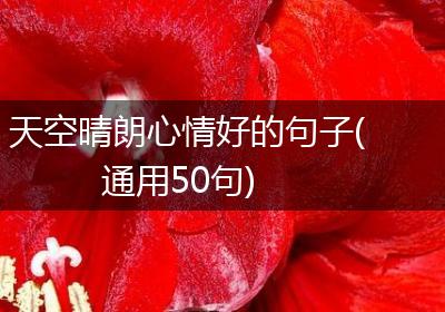 天空晴朗心情好的句子(通用50句)
