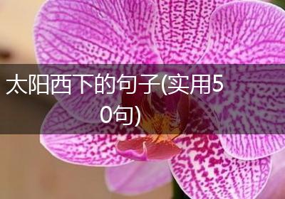 太阳西下的句子(实用50句)