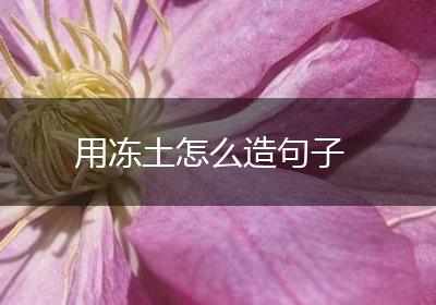 用冻土怎么造句子