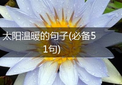 太阳温暖的句子(必备51句)