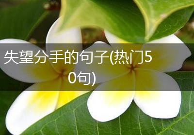 失望分手的句子(热门50句)