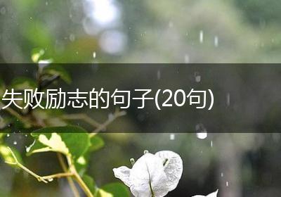 失败励志的句子(20句)