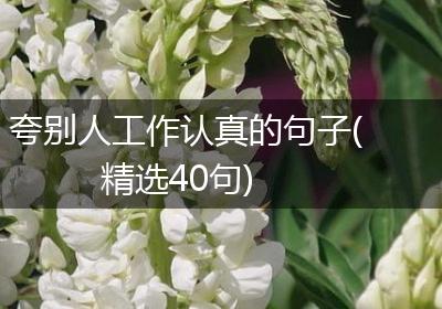 夸别人工作认真的句子(精选40句)