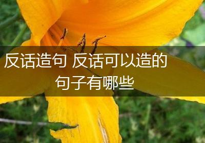 反话造句 反话可以造的句子有哪些