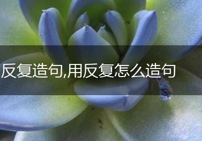 反复造句,用反复怎么造句