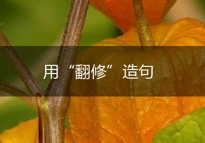 用“翻修”造句