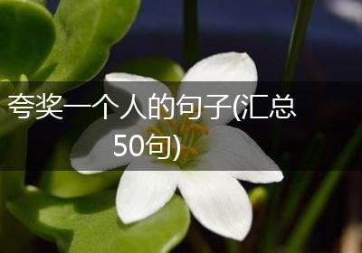夸奖一个人的句子(汇总50句)