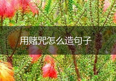 用赌咒怎么造句子