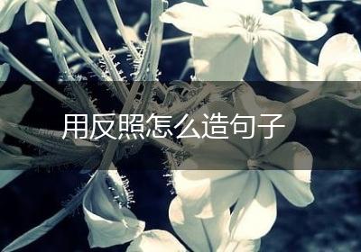 用反照怎么造句子