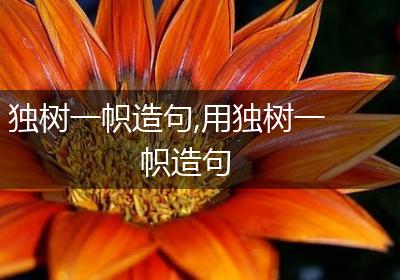独树一帜造句,用独树一帜造句