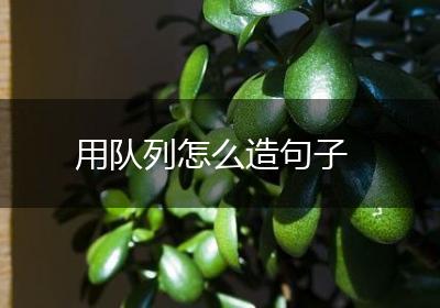 用队列怎么造句子