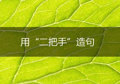 用“二把手”造句