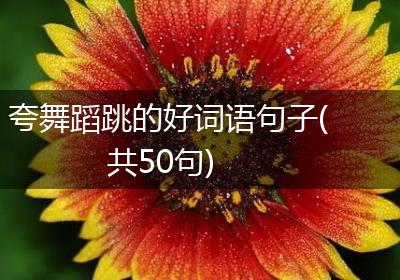夸舞蹈跳的好词语句子(共50句)