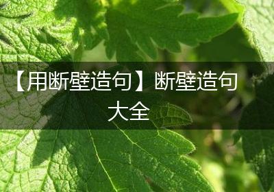 【用断壁造句】断壁造句大全