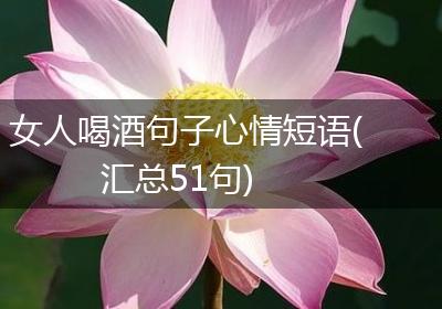 女人喝酒句子心情短语(汇总51句)