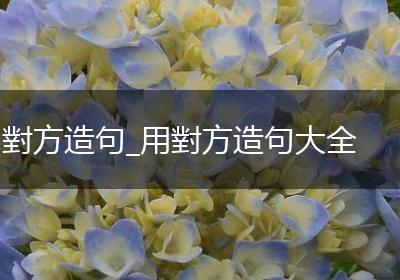 對方造句_用對方造句大全