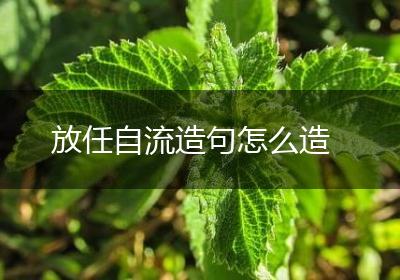 放任自流造句怎么造