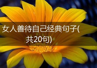 女人善待自己经典句子(共20句)