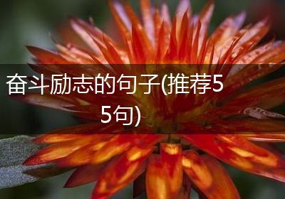 奋斗励志的句子(推荐55句)