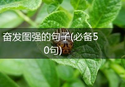 奋发图强的句子(必备50句)
