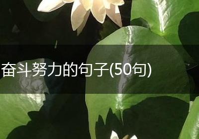 奋斗努力的句子(50句)