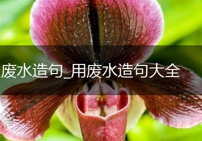 废水造句_用废水造句大全