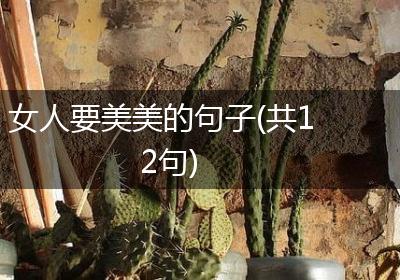 女人要美美的句子(共12句)