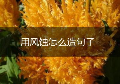 用风蚀怎么造句子