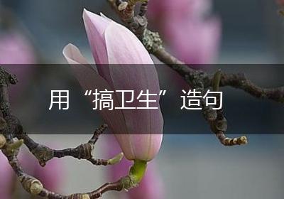 用“搞卫生”造句