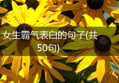 女生霸气表白的句子(共50句)