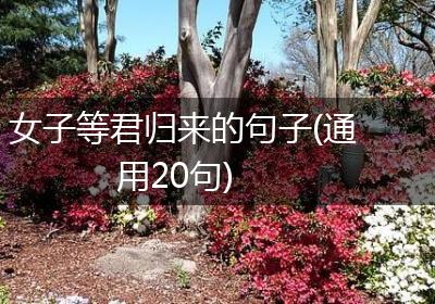 女子等君归来的句子(通用20句)