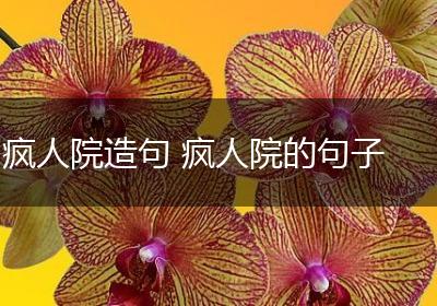 疯人院造句 疯人院的句子