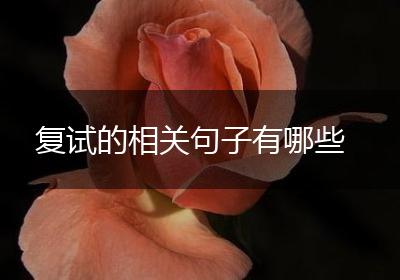 复试的相关句子有哪些