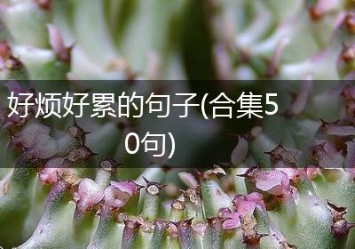 好烦好累的句子(合集50句)