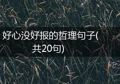 好心没好报的哲理句子(共20句)