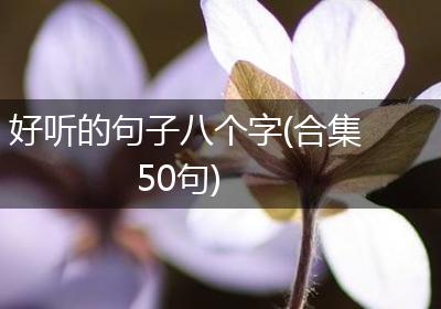 好听的句子八个字(合集50句)