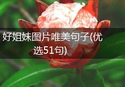 好姐妹图片唯美句子(优选51句)