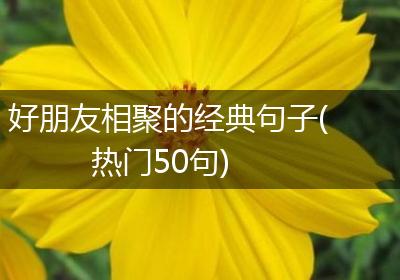 好朋友相聚的经典句子(热门50句)